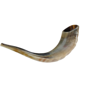 שופר איל כשר למהדרין - רבנות.